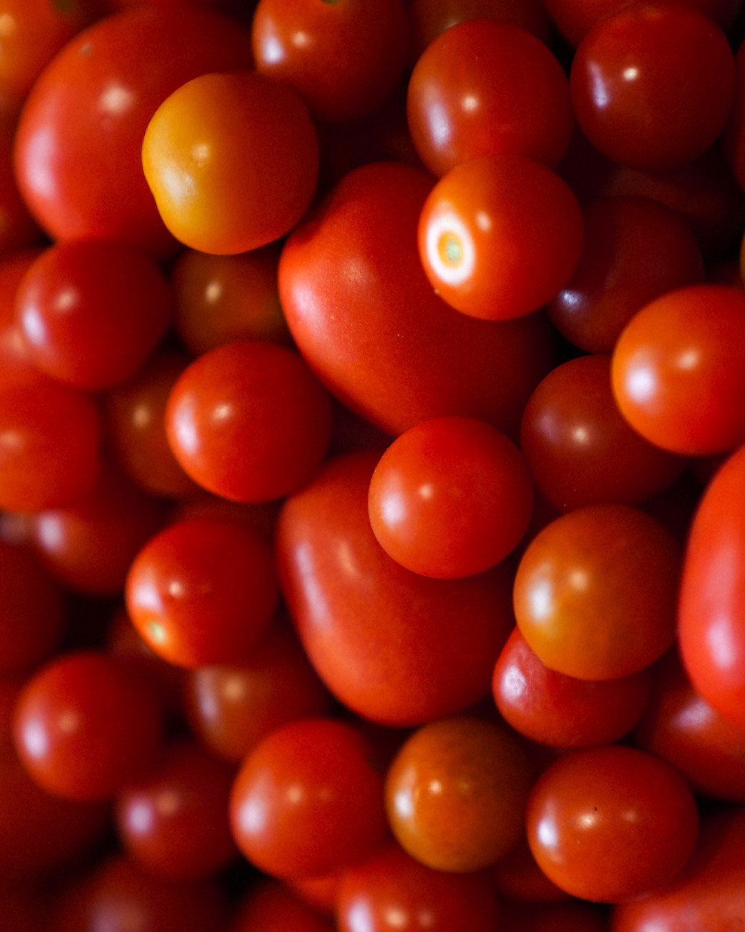 Pensado para el mañana